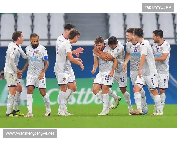 五大联赛的独特魅力与竞争格局分析探讨