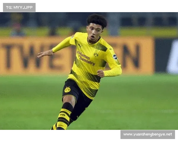 围绕法甲联赛决赛时间的五大常见问题深度解析与答疑指南手册版全